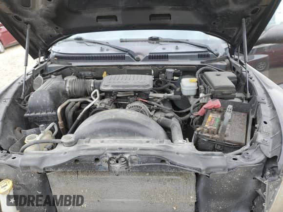 2010 Dodge Dakota Bighorn/Lonestar with VIN 1D7CW3GK5AS173187, listed as a Copart auction lot 68610854 with 192,017 mi miles and Salvage title. Bid and sale history available at DreamBid. Image 11.