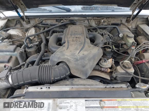 ✅ 1998 Ford Explorer XL • VIN: 1FMZU32E6WZB42875 • Лот: 41904223. Опубликован ранее на IAAI с пробегом 265 981 миль. Бесплатный доступ к архиву аукционных продаж из США и подробный отчёт об истории автомобиля на DreamBid. Изображение 10.