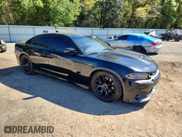 ✅ 2019 Dodge Charger Scat Pack • VIN: 2C3CDXGJ7KH756825 • Lot: 87449285. Listed on Copart with 135,853 mi. Free auction sales archive from the USA and detailed vehicle history report at DreamBid. Image 4.