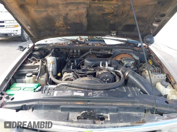 ✅ 1996 Chevrolet Blazer LS • VIN: 1GNCS13W4TK233425 • Lot: 42793679. Wystawiony na IAAI z przebiegiem 202 943 mil. Bezpłatny archiwum sprzedaży aukcyjnych z USA i szczegółowy raport historii pojazdu na DreamBid. Zdjęcie 10.