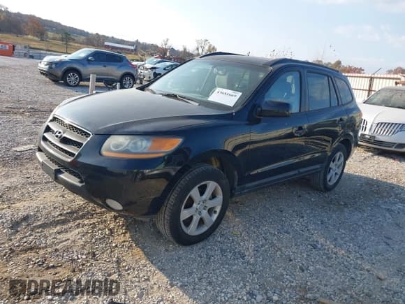 ✅ 2008 Hyundai Santa Fe SE • VIN: 5NMSH13E38H144376 • Lot: 43681669. Listed on IAAI with 251,513 mi. Free auction sales archive from the USA and detailed vehicle history report at DreamBid. Image 2.