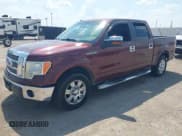 ✅ 2009 Ford F-150 XL • VIN: 1FTPW12V69FB05633 • Лот: 43239761. Опубликован ранее на IAAI с пробегом 178 268 миль. Бесплатный доступ к архиву аукционных продаж из США и подробный отчёт об истории автомобиля на DreamBid. Изображение 17.