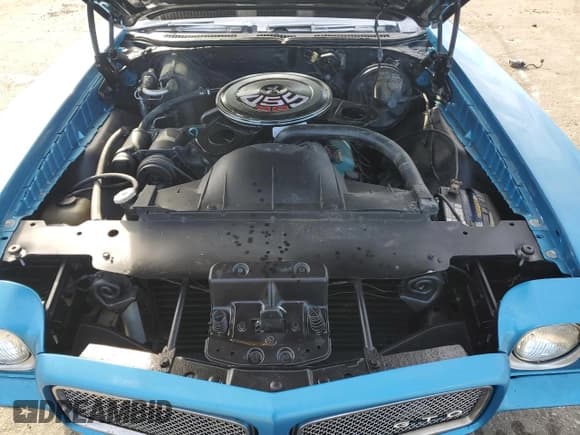 ✅ 1971 Pontiac Lemans • VIN: 237671P167559 • Lot: 84192814. Wystawiony na Copart z przebiegiem Nie podano. Bezpłatny archiwum sprzedaży aukcyjnych z USA i szczegółowy raport historii pojazdu na DreamBid. Zdjęcie 11.