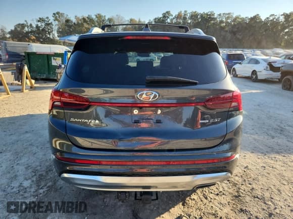 ✅ 2023 Hyundai Santa Fe Calligraphy • VIN: 5NMS5DAL6PH643943 • Lot: 93630025. Listed on Copart with 33,221 mi. Free auction sales archive from the USA and detailed vehicle history report at DreamBid. Image 6.