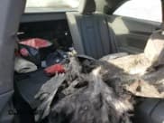 ✅ 2021 Audi A5 S line Premium Plus • VIN: WAUTAAF51MA008236 • Лот: 74662274. Опубликован ранее на Copart с пробегом Не указан. Бесплатный доступ к архиву аукционных продаж из США и подробный отчёт об истории автомобиля на DreamBid. Изображение 10.