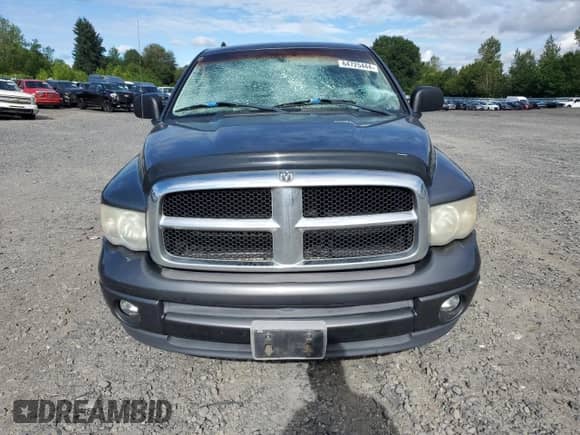 2002 Dodge 1500 with VIN 1D7HA16N42J204683, listed as a Copart auction lot 64725444 with 208,278 mi miles and Salvage title. Bid and sale history available at DreamBid. Image 5.