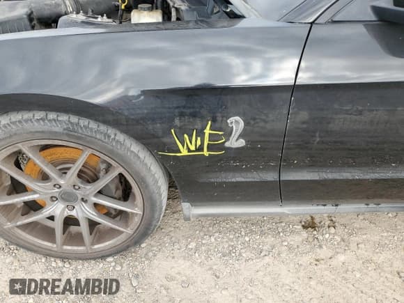 ✅ 2012 Ford Mustang Shelby GT500 • VIN: 1ZVBP8JS3C5221597 • Lot: 51902795. Wystawiony na Copart z przebiegiem 117 158 mil. Bezpłatny archiwum sprzedaży aukcyjnych z USA i szczegółowy raport historii pojazdu na DreamBid. Zdjęcie 12.