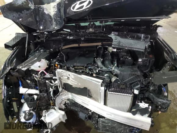 ✅ 2024 Hyundai Santa Fe SE • VIN: 5NMP1DGL1RH046470 • Lot: 50914425. Listed on Copart with 13,974 mi. Free auction sales archive from the USA and detailed vehicle history report at DreamBid. Image 12.