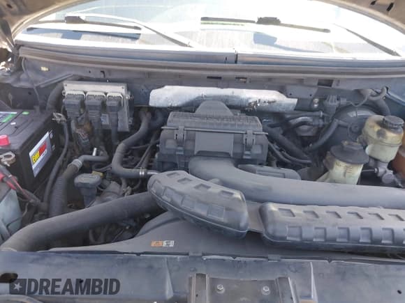 ✅ 2008 Ford F-150 XLT • VIN: 1FTPW12V68FA09743 • Lot: 42165462. Listed on IAAI with 230,003 mi. Free auction sales archive from the USA and detailed vehicle history report at DreamBid. Image 10.