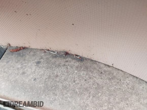 ✅ 2008 Mazda Tribute Sport • VIN: 4F2CZ02Z48KM28457 • Лот: 41309277. Опубликован ранее на IAAI с пробегом 149 493 миль. Бесплатный доступ к архиву аукционных продаж из США и подробный отчёт об истории автомобиля на DreamBid. Изображение 6.