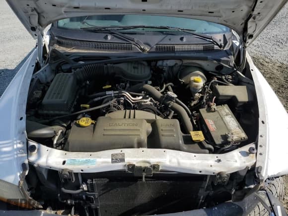 ✅ 2000 Dodge Dakota SLT • VIN: 1B7GG22X0YS554137 • Lot: 54960385. Wystawiony na Copart z przebiegiem 162 889 mil. Bezpłatny archiwum sprzedaży aukcyjnych z USA i szczegółowy raport historii pojazdu na DreamBid. Zdjęcie 11.