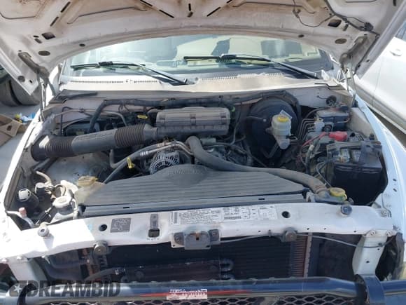 ✅ 2001 Dodge 1500 • VIN: 1B7HC13Z91J613157 • Lot: 42542029. Listed on IAAI with 146,932 mi. Free auction sales archive from the USA and detailed vehicle history report at DreamBid. Image 10.