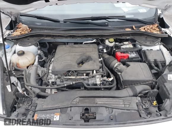 ✅ 2020 Ford Escape SE • VIN: 1FMCU9G65LUA19989 • Лот: 43552188. Опубликован ранее на IAAI с пробегом 53 120 миль. Бесплатный доступ к архиву аукционных продаж из США и подробный отчёт об истории автомобиля на DreamBid. Изображение 10.