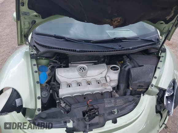 ✅ 2008 Volkswagen Beetle S • VIN: 3VWRW31C38M523065 • Lot: 41802540. Listed on IAAI with 151,065 mi. Free auction sales archive from the USA and detailed vehicle history report at DreamBid. Image 10.