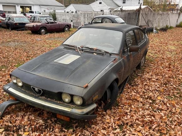 ✅ 1982 Alfa Romeo GTV • VIN: ZARAA669XC1002367 • Lot: 90809585. Wystawiony na Copart z przebiegiem 54 249 mil. Bezpłatny archiwum sprzedaży aukcyjnych z USA i szczegółowy raport historii pojazdu na DreamBid. Zdjęcie 2.