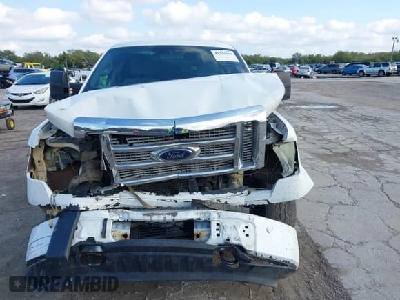 ✅ 2013 Ford F-150 XL • VIN: 1FTFX1ET1DFB98086 • Lot: 41215419. Listed on IAAI with 158,296 mi. Free auction sales archive from the USA and detailed vehicle history report at DreamBid. Image 11.