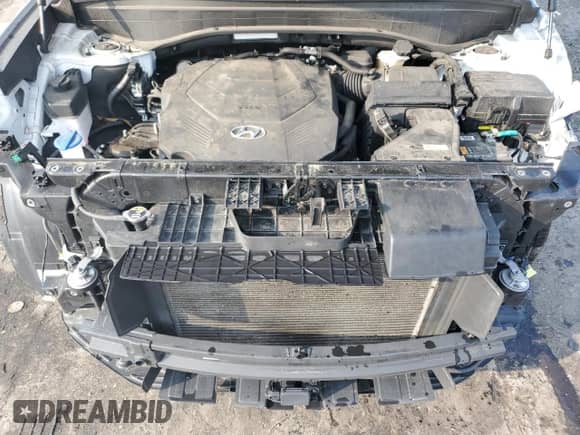 2023 Hyundai Palisade XRT с VIN KM8R3DGE1PU574841, выставлен на аукционе Copart как лот 64822714 с пробегом 69 706 миль миль и Списание • Salvage title. История ставок и продаж доступна на DreamBid. Изображение 12.