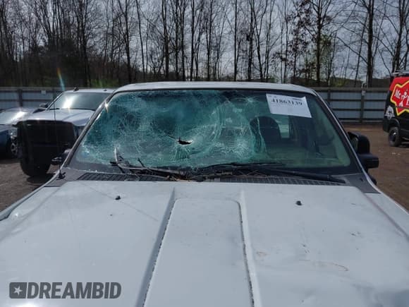 ✅ 2009 Ford F-250 • VIN: 1FDNF21579EA07923 • Лот: 41863139. Опубликован ранее на IAAI с пробегом 269 940 миль. Бесплатный доступ к архиву аукционных продаж из США и подробный отчёт об истории автомобиля на DreamBid. Изображение 6.