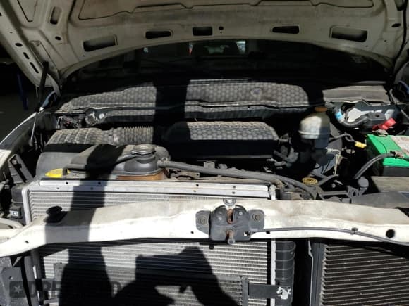 ✅ 2002 Dodge 1500 • VIN: 1D7HA16N82J225097 • Лот: 77415204. Опубликован ранее на Copart с пробегом 172 329 миль. Бесплатный доступ к архиву аукционных продаж из США и подробный отчёт об истории автомобиля на DreamBid. Изображение 12.