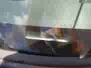 2009 Mercury Mariner Premier с VIN 4M2CU87759KJ03574, выставлен на аукционе Copart как лот 66661725 с пробегом 172 053 миль миль и Списание • Salvage title. История ставок и продаж доступна на DreamBid. Изображение 13.