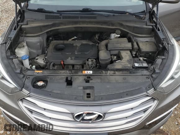 ✅ 2017 Hyundai Santa Fe 2.4L • VIN: 5NMZT3LB5HH025209 • Лот: 77610463. Опубликован ранее на Copart с пробегом 131 130 миль. Бесплатный доступ к архиву аукционных продаж из США и подробный отчёт об истории автомобиля на DreamBid. Изображение 12.