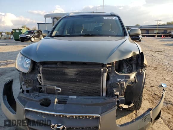 ✅ 2007 Hyundai Santa Fe GLS • VIN: KM8SG13DX7U132254 • Lot: 73983614. Listed on Copart with 132,154 mi. Free auction sales archive from the USA and detailed vehicle history report at DreamBid. Image 5.