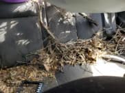 ✅ 2007 Chevrolet Aveo LS • VIN: KL1TD56607B118002 • Lot: 42345815. Wystawiony na Copart z przebiegiem Nie podano. Bezpłatny archiwum sprzedaży aukcyjnych z USA i szczegółowy raport historii pojazdu na DreamBid. Zdjęcie 10.