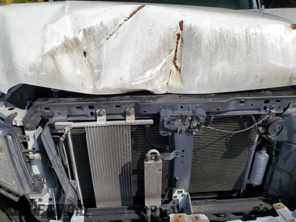 ✅ 2016 Nissan NV SL • VIN: 1N6BF0KY0GN806747 • Lot: 72959584. Wystawiony na Copart z przebiegiem Nie podano. Bezpłatny archiwum sprzedaży aukcyjnych z USA i szczegółowy raport historii pojazdu na DreamBid. Zdjęcie 13.