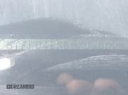 ✅ 2012 Toyota Tacoma • VIN: 5TFLU4EN6CX026627 • Lot: 41277753. Listed on IAAI with 147,994 mi. Free auction sales archive from the USA and detailed vehicle history report at DreamBid. Image 9.