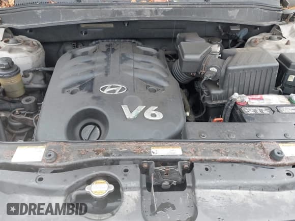 ✅ 2007 Hyundai Santa Fe SE • VIN: 5NMSH73E27H111726 • Lot: 43429428. Wystawiony na IAAI z przebiegiem 177 609 mil. Bezpłatny archiwum sprzedaży aukcyjnych z USA i szczegółowy raport historii pojazdu na DreamBid. Zdjęcie 10.