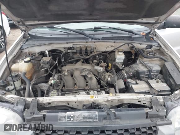 ✅ 2005 Ford Escape XLT • VIN: 1FMCU93125KA11244 • Lot: 43740466. Listed on IAAI with 199,172 mi. Free auction sales archive from the USA and detailed vehicle history report at DreamBid. Image 10.