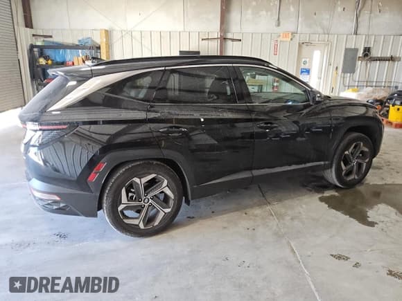 ✅ 2024 Hyundai Tucson Limited • VIN: 5NMJECDE5RH353585 • Lot: 80776264. Wystawiony na Copart z przebiegiem 35 759 mil. Bezpłatny archiwum sprzedaży aukcyjnych z USA i szczegółowy raport historii pojazdu na DreamBid. Zdjęcie 3.