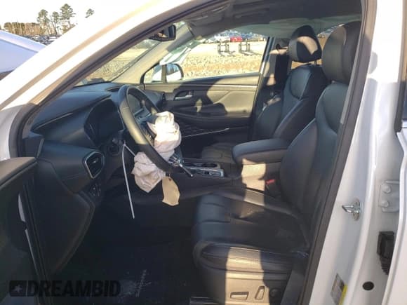 ✅ 2020 Hyundai Santa Fe SEL • VIN: 5NMS3CAD2LH286585 • Lot: 40180434. Wystawiony na Copart z przebiegiem 35 180 mil. Bezpłatny archiwum sprzedaży aukcyjnych z USA i szczegółowy raport historii pojazdu na DreamBid. Zdjęcie 7.