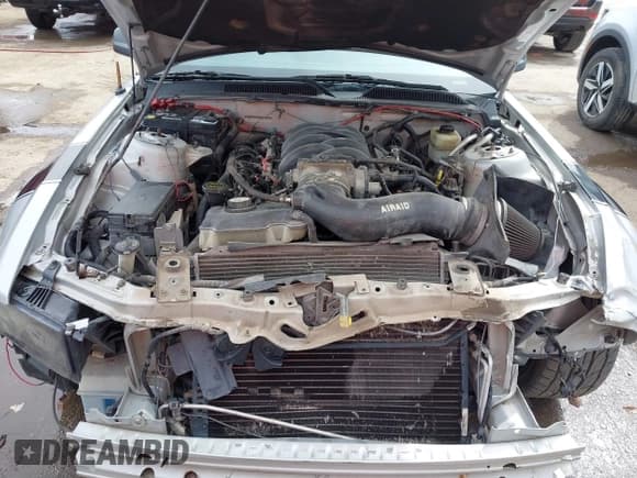 ✅ 2005 Ford Mustang GT Deluxe • VIN: 1ZVFT82H555246228 • Lot: 41827022. Listed on IAAI with 232,272 mi. Free auction sales archive from the USA and detailed vehicle history report at DreamBid. Image 10.