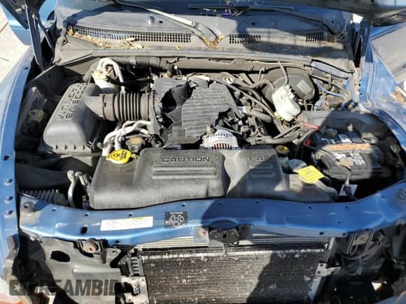 2002 Dodge Dakota Sport с VIN 1B7HL38N72S589857, выставлен на аукционе Copart как лот 77138924 с пробегом 197 117 миль миль и Списание • Salvage title. История ставок и продаж доступна на DreamBid. Изображение 11.