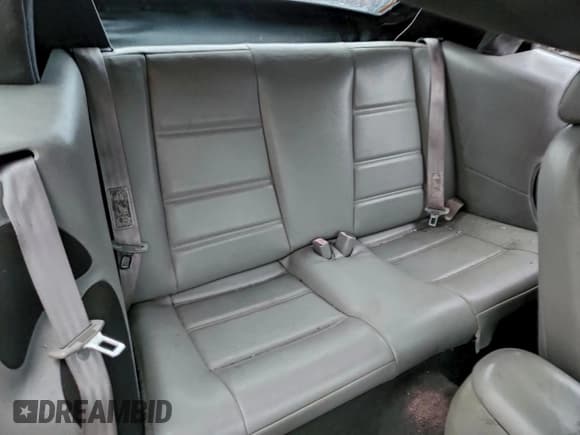 ✅ 1999 Ford Mustang • VIN: 1FAFP4440XF114880 • Лот: 94047515. Опубликован ранее на Copart с пробегом Не указан. Бесплатный доступ к архиву аукционных продаж из США и подробный отчёт об истории автомобиля на DreamBid. Изображение 10.