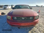 ✅ 2006 Ford Mustang Standard • VIN: 1ZVHT80N565136007 • Lot: 96771335. Listed on Copart with 231,892 mi. Free auction sales archive from the USA and detailed vehicle history report at DreamBid. Image 5.