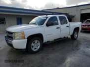 ✅ 2009 Chevrolet Silverado 1500 • VIN: 2GCFC135X91132117 • Lot: 74206224. Listed on Copart with 172,416 mi. Free auction sales archive from the USA and detailed vehicle history report at DreamBid. Image 1.