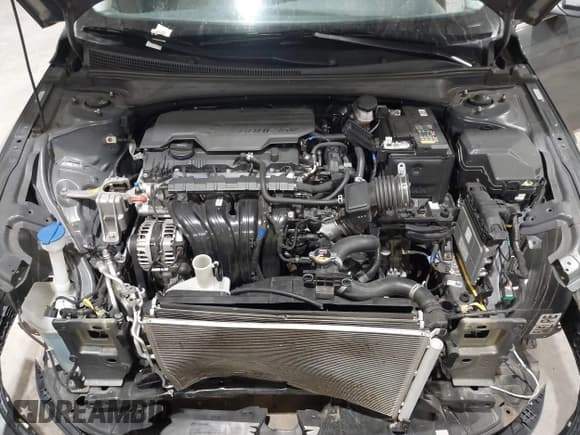 ✅ 2024 Hyundai Elantra Limited • VIN: KMHLP4DG8RU792942 • Lot: 43850872. Wystawiony na IAAI z przebiegiem 34 704 mil. Bezpłatny archiwum sprzedaży aukcyjnych z USA i szczegółowy raport historii pojazdu na DreamBid. Zdjęcie 10.