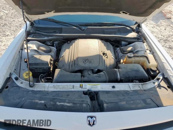 ✅ 2010 Dodge Challenger R/T • VIN: 2B3CJ5DT0AH265429 • Lot: 68852005. Wystawiony na Copart z przebiegiem 109 428 mil. Bezpłatny archiwum sprzedaży aukcyjnych z USA i szczegółowy raport historii pojazdu na DreamBid. Zdjęcie 11.