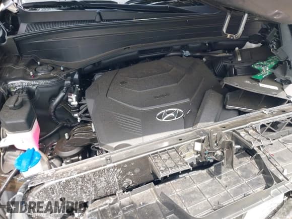 ✅ 2025 Hyundai Palisade SEL Premium • VIN: KM8R4DGE1SU918478 • Лот: 42710892. Опубликован ранее на IAAI с пробегом 5 655 миль. Бесплатный доступ к архиву аукционных продаж из США и подробный отчёт об истории автомобиля на DreamBid. Изображение 10.