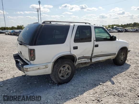 1999 Chevrolet Blazer LS with VIN 1GNDT13WXX2150024, listed as a Copart auction lot 71781074 with 271,768 mi miles and Salvage title. Bid and sale history available at DreamBid. Image 3.