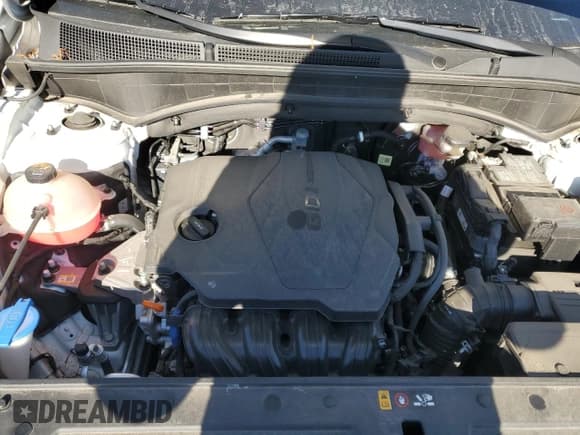 ✅ 2021 Hyundai Santa Fe SEL • VIN: 5NMS2DAJ0MH347979 • Lot: 80461023. Wystawiony na Copart z przebiegiem 30 863 mil. Bezpłatny archiwum sprzedaży aukcyjnych z USA i szczegółowy raport historii pojazdu na DreamBid. Zdjęcie 12.