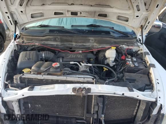 ✅ 2003 Dodge 1500 ST • VIN: 1D7HA18D63S260754 • Лот: 73852204. Размещён на Copart с пробегом 202 496 миль миль. Получите бесплатный доступ к архиву аукционных продаж из США и посмотрите подробный отчёт об истории автомобиля на DreamBid. Изображение 11.