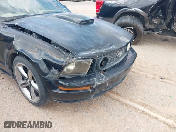 ✅ 2007 Ford Mustang GT Deluxe • VIN: 1ZVHT85H575287613 • Лот: 42543302. Опубликован ранее на IAAI с пробегом Не указан. Бесплатный доступ к архиву аукционных продаж из США и подробный отчёт об истории автомобиля на DreamBid. Изображение 18.