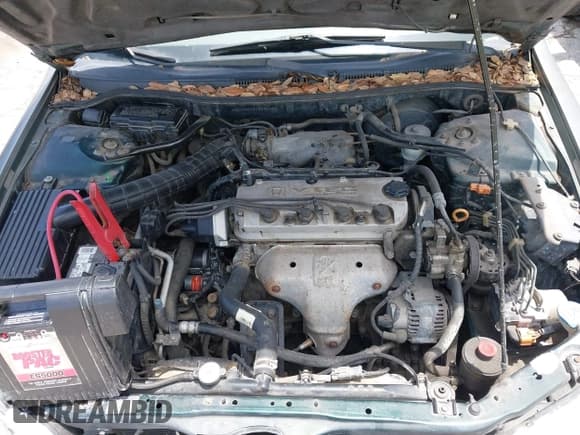 ✅ 2000 Honda Accord SE • VIN: 1HGCG5673YA090469 • Lot: 42391254. Listed on IAAI with 140,819 mi. Free auction sales archive from the USA and detailed vehicle history report at DreamBid. Image 10.