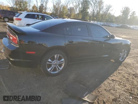 ✅ 2014 Dodge Charger RT Max • VIN: 2C3CDXDT2EH346816 • Lot: 87184335. Wystawiony na Copart z przebiegiem 181 652 mil. Bezpłatny archiwum sprzedaży aukcyjnych z USA i szczegółowy raport historii pojazdu na DreamBid. Zdjęcie 3.