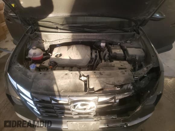 ✅ 2023 Hyundai Tucson SEL • VIN: 5NMJBCAE4PH199770 • Lot: 81702284. Wystawiony na Copart z przebiegiem 48 859 mil. Bezpłatny archiwum sprzedaży aukcyjnych z USA i szczegółowy raport historii pojazdu na DreamBid. Zdjęcie 12.