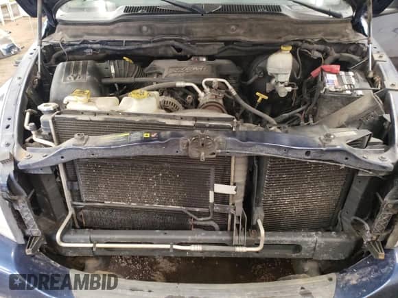 2006 Dodge 1500 SLT z VIN 1D7HU16226J109185, wystawiony jako Copart lot #43872605 z przebiegiem 206 422 mil mil oraz Czysty tytuł • Clean title. Historia ofert i sprzedaży dostępna na DreamBid. Obrazek 11.