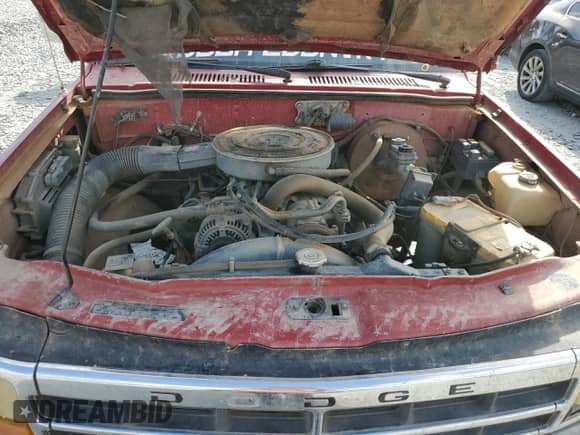 1992 Dodge Dakota with VIN 1B7GG23Y4NS592005, listed as a Copart auction lot 78465424 with 175,666 mi miles and Non repairable. Bid and sale history available at DreamBid. Image 11.